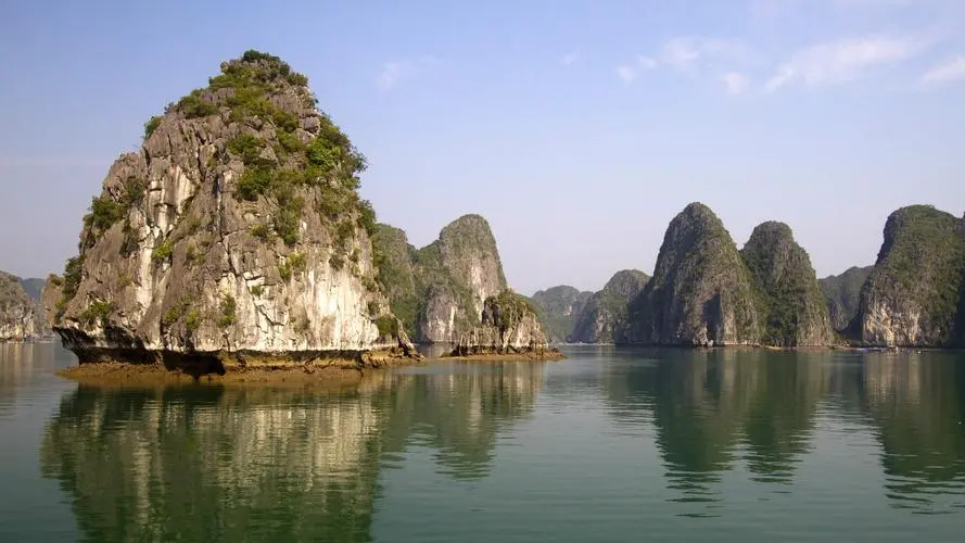 独特科技数字化